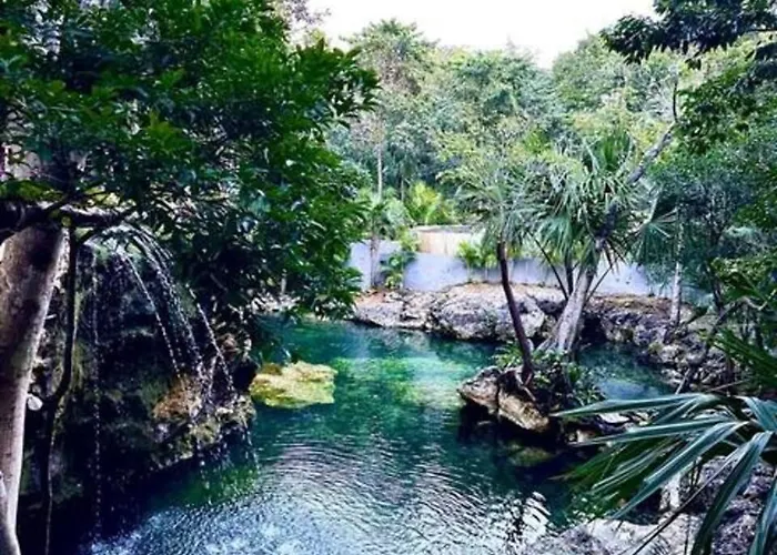 Family With Patio, Shared Pool & Cenote *