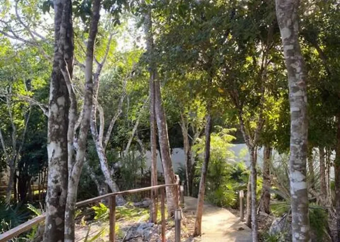 Сasa de vacaciones Family With Patio, Shared Pool & Cenote *