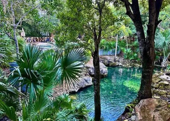 Family With Patio, Shared Pool & Cenote Сasa de vacaciones Playa del Carmen