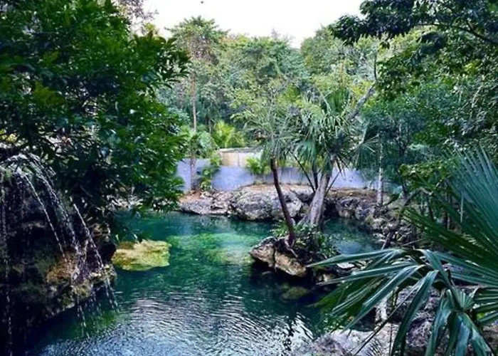 Family With Patio, Shared Pool & Cenote *