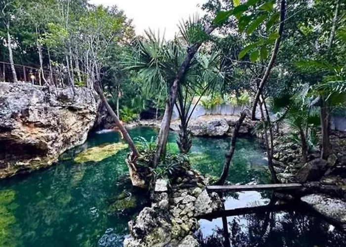 Family With Patio, Shared Pool & Cenote *