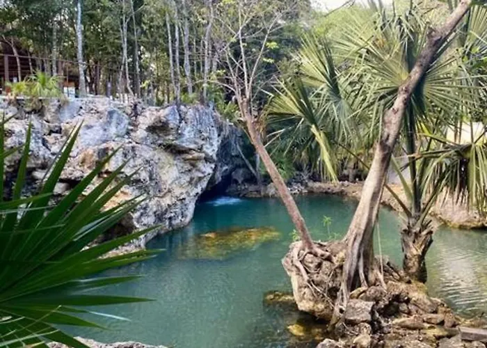 Family With Patio, Shared Pool & Cenote *